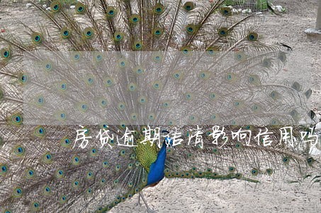 房贷逾期结清影响信用吗 房贷逾期结清影响信用吗