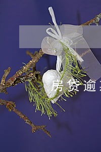 房贷逾期能不能办信用卡 房贷逾期能不能办信用卡