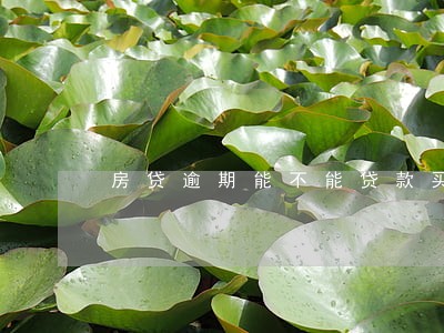 房贷逾期能不能贷款买车 房贷逾期能不能贷款买车
