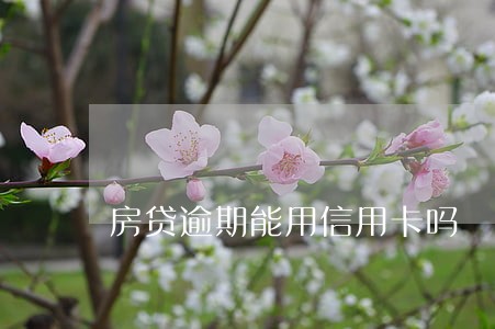 房贷逾期能用信用卡吗 房贷逾期能用信用卡吗