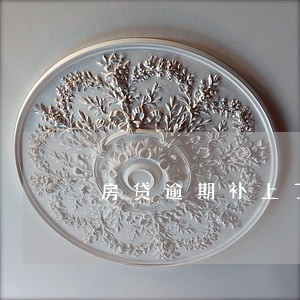 房贷逾期补上了银行也没扣款啊 房贷逾期补上了银行也没扣款啊