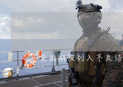 房贷逾期被列入不良信用贷款 房贷逾期被列入不良信用贷款