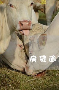 房贷逾期被起诉过能贷款吗 房贷逾期被起诉过能贷款吗