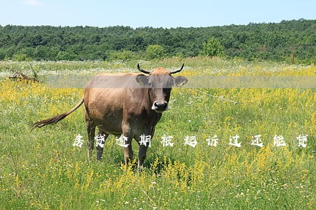 房贷逾期被起诉过还能贷款吗 房贷逾期被起诉过还能贷款吗
