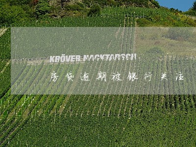 房贷逾期被银行关注 房贷逾期被银行关注