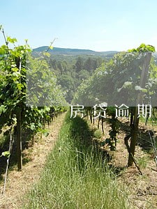 房贷逾期被银行收回会给补钱吗