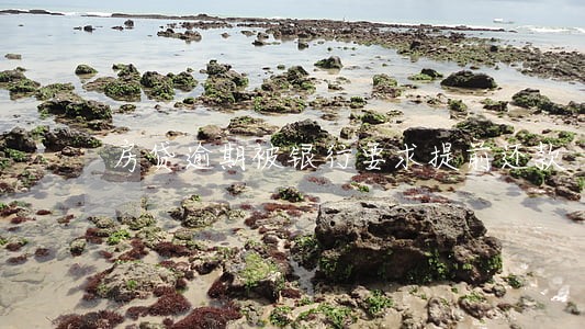 房贷逾期被银行要求提前还款 房贷逾期被银行要求提前还款