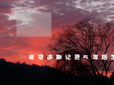 房贷逾期记录5年后怎么消除 房贷逾期记录5年后怎么消除