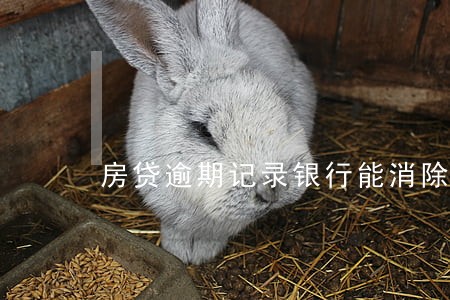 房贷逾期记录银行能消除吗 房贷逾期记录银行能消除吗