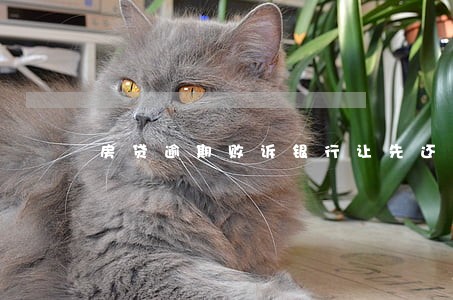 房贷逾期败诉银行让先还一部分 房贷逾期败诉银行让先还一部分