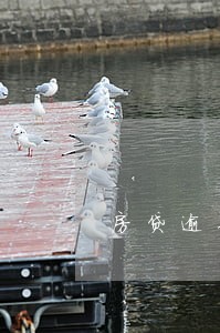 房贷逾期超过6次 房贷逾期超过6次