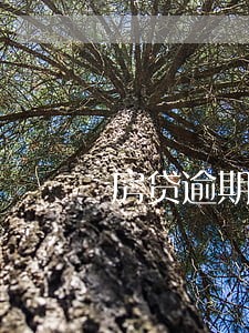 房贷逾期过3次还能商转公吗