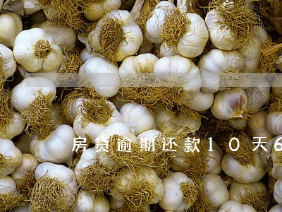 房贷逾期还款10天6