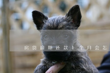 房贷逾期还款1个月会怎样 房贷逾期还款1个月会怎样