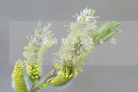 房贷逾期还款26次 房贷逾期还款26次