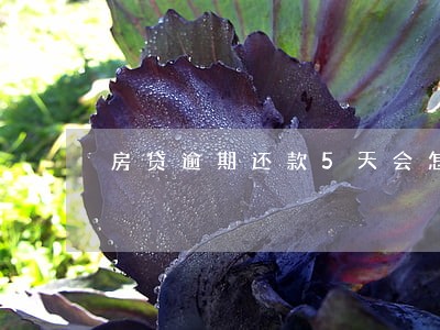房贷逾期还款5天会怎样 房贷逾期还款5天会怎样