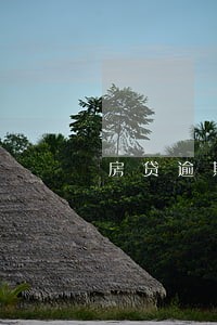 房贷逾期还款信用记录几年清除 房贷逾期还款信用记录几年清除
