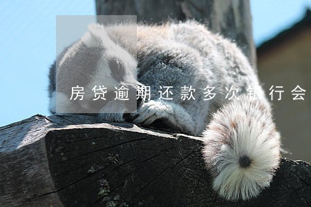 房贷逾期还款多次银行会怎么处理 房贷逾期还款多次银行会怎么处理