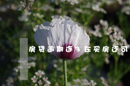 房贷逾期连3在买房还可以贷款吗 房贷逾期连3在买房还可以贷款吗