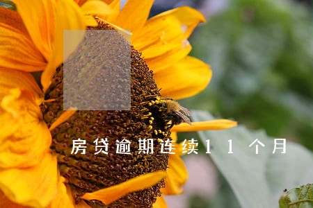 房贷逾期连续11个月 房贷逾期连续11个月