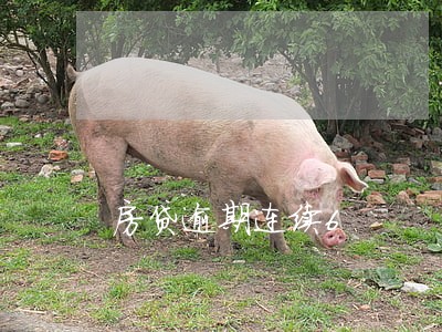 房贷逾期连续6 房贷逾期连续6