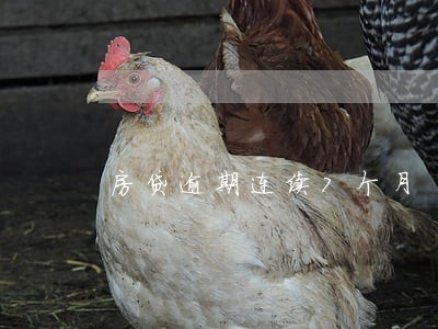 房贷逾期连续7个月