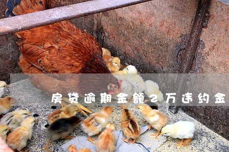 房贷逾期金额2万违约金怎么算 房贷逾期金额2万违约金怎么算