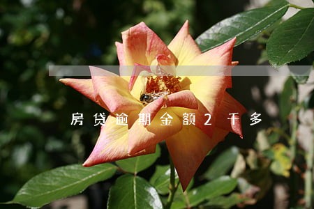 房贷逾期金额2千多 房贷逾期金额2千多