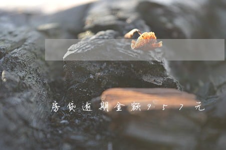 房贷逾期金额957元 房贷逾期金额957元