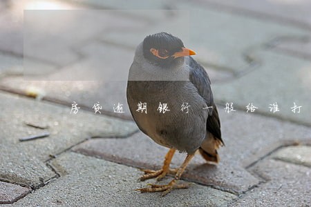 房贷逾期银行一般给谁打电话
