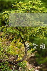 房贷逾期银行会解除合同吗 房贷逾期银行会解除合同吗