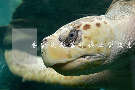 房贷逾期银行停止贷款怎么办