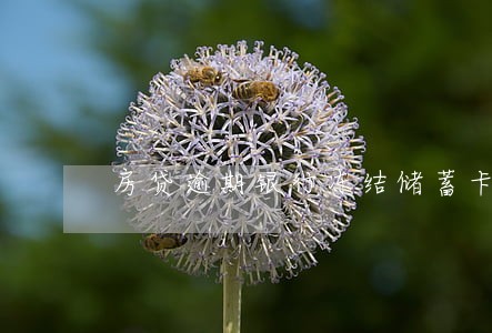 房贷逾期银行冻结储蓄卡 房贷逾期银行冻结储蓄卡
