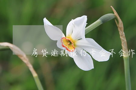 房贷逾期银行卡会不会作废