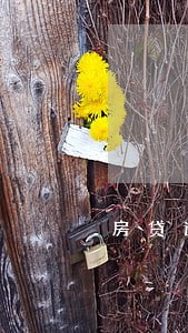 房贷逾期银行卡会冻结吗 房贷逾期银行卡会冻结吗