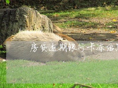 房贷逾期银行卡冻结怎样处理 房贷逾期银行卡冻结怎样处理
