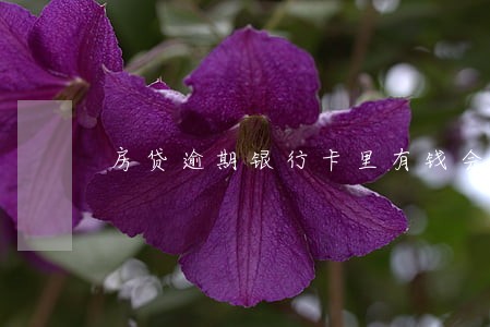 房贷逾期银行卡里有钱会扣吗 房贷逾期银行卡里有钱会扣吗