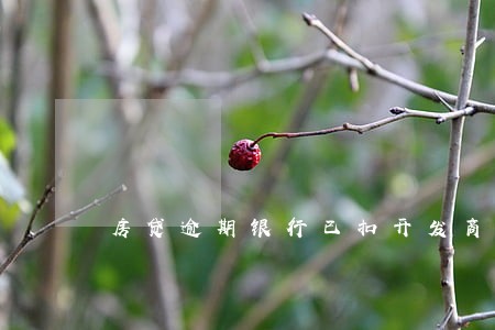 房贷逾期银行已扣开发商保证金 房贷逾期银行已扣开发商保证金