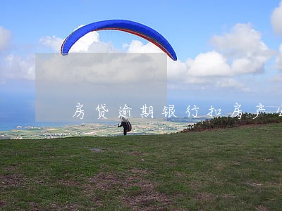 房贷逾期银行扣房产公司的钱 房贷逾期银行扣房产公司的钱