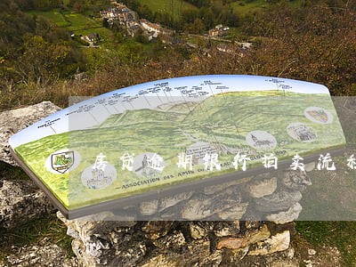 房贷逾期银行拍卖流程 房贷逾期银行拍卖流程