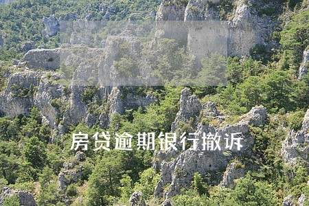 房贷逾期银行撤诉 房贷逾期银行撤诉