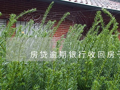 房贷逾期银行收回房子怎么处理 房贷逾期银行收回房子怎么处理