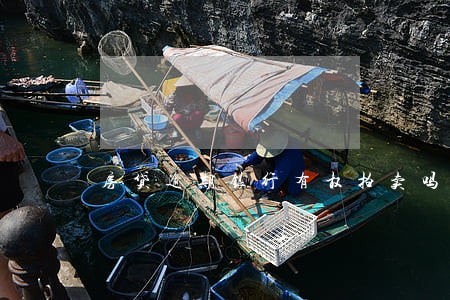 房贷逾期银行有权拍卖吗 房贷逾期银行有权拍卖吗