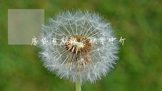 房贷逾期银行联系中介 房贷逾期银行联系中介