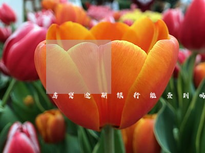 房贷逾期银行能查到吗 房贷逾期银行能查到吗