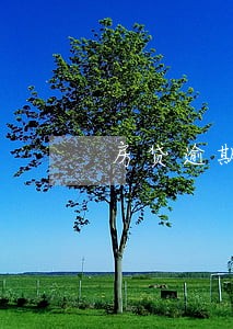 房贷逾期银行要断贷怎么办