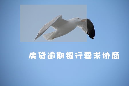 房贷逾期银行要求协商 房贷逾期银行要求协商