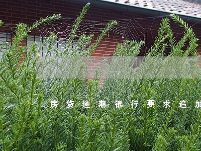 房贷逾期银行要求追加保证金 房贷逾期银行要求追加保证金