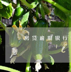 房贷逾期银行责任 房贷逾期银行责任