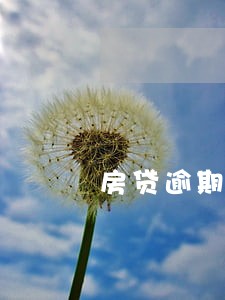 房贷逾期银行通知贷款结清 房贷逾期银行通知贷款结清